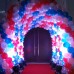 Main Entrance Tunnel Balloon Arch